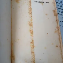 CƠ HỘI CỦA CHÚA - NGUYỄN VIỆT HÀ 1038269