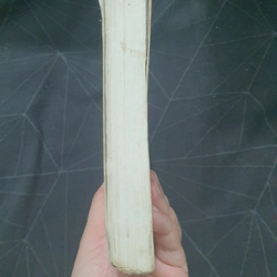 Rèn kiếm - Truyện ngắn Trung Quốc chọn lọc 498934
