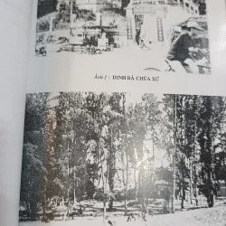 CỘNG ĐỒNG NGƯ DÂN VIỆT Ở NAM BỘ - TRẦN HỒNG LIÊN 705422