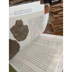 Đá cảnh Việt Nam: Trào lưu thưởng ngoạn & cảm thức nguyên sơn - Châu Chí Hùng, Ninh Hữu Hiệp