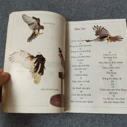 ĐẠI BÀNG - TỦ SÁCH KIẾN THỨC THẾ HỆ MỚI 720727