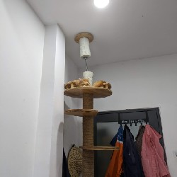 Cattree cao dành cho mèo 19108