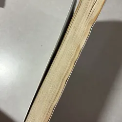 Đà Nẵng hướng đến phát triển bền vững (có ẩm) 765681