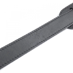 Túi xách Louis Vuitton Trillon Monogram Sac Plat Cross M21884 617394