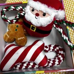 Hộp quà thú cưng mới 99% 760911