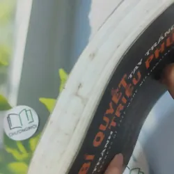 Bí Quyết Tay Trắng Thành Triệu Phú - Adam Khoo 1018948