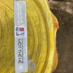 PHÁC THẢO CHÂN DUNG MỘT THẾ HỆ (2)- TẦN HOÀI DẠ VŨ- NGUYỄN ĐÔNG NHẬT 597901