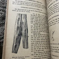 Nguyên lý môn giun tròn thú y 2; 200 trang khổ lớn  1009223