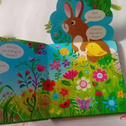 Usborne Lift-the-Flap: Play Hide & Seek with Bunny 1024809
