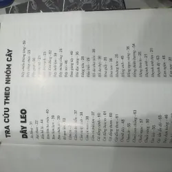 500 loài cây thường dùng trong thiết kế cảnh quan 929827