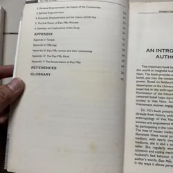 Đạo mẫu Việt Nam 699351