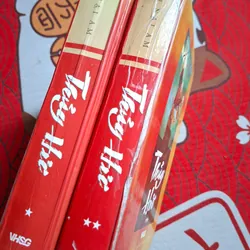 Thủy Hử ( Trọn bô 2 tập bìa cứng ) 728106