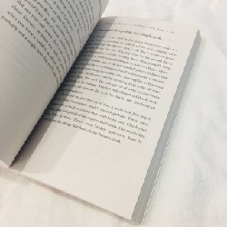 Book - Goodbye Things : On Minimalist Living 60479