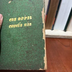 II Sách Phật Giáo: Con Đường Chuyển Hoá - Kinh Bốn Lĩnh Vực Quán Niệm (Dịch Và Chú Giải) 755401