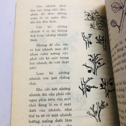 KỸ THUẬT BONSAI  447856