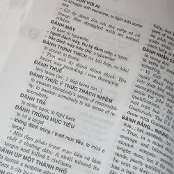 Từ điển dụng ngữ Việt - Anh 786999