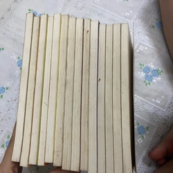Tri thức thế giới (14  cuốn ) 492003