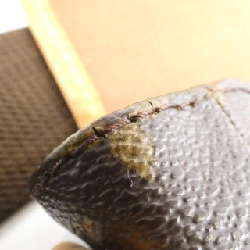 Túi đeo chéo Monogram PM M40106 của Louis Vuitton 613637