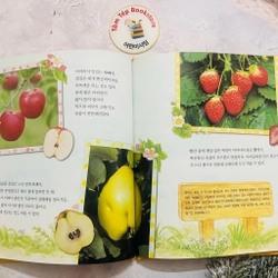 𝐒𝐞́𝐭 𝐬𝐚́𝐜𝐡 𝐪𝐮𝐚𝐧 𝐬𝐚́𝐭 𝐭𝐮̛̣ 𝐧𝐡𝐢𝐞̂𝐧 tiếng Hàn  푸른달 자연관찰(trọn bộ) 496923