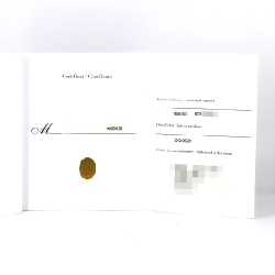 Cartier Ballon Bleu LM W69012Z4 SS tự động - Hàng hiệu chính hãng 881401