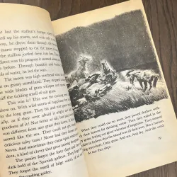 ✨𝑴𝒊𝒔𝒕𝒚 𝒐𝒇 𝑪𝒉𝒊𝒏𝒄𝒐𝒕𝒆𝒂𝒈𝒖𝒆✨ (Newbery Honor Book) 709264