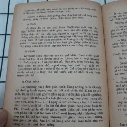 Nxb Nông Nghiệp. kỹ thuật TRỒNG CÂY ĂN QUẢ. Tg. Giáo sư VŨ CÔNG HẬU 570445