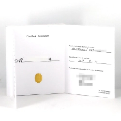 Cartier Ballon Bleu WSBB0002 SS tự động - Hàng hiệu Authentic 875438