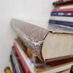 Tố Như và Đoạn trường tân thanh | Trần Ngọc Minh  446986