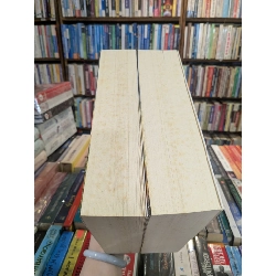 Sông Đông Êm Đềm ( Bìa Cứng 2 Tập ) - Mikhain Sôlôkhôp 120411