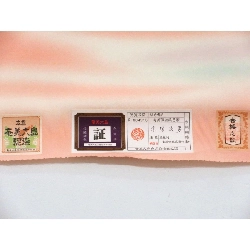 Vải phản vật dài - Hàng hiệu Authentic 877499