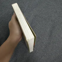 Lịch sử tư tưởng Nhật Bản: Quốc sư Đại Đăng & sơ kỳ Thiền tông Nhật Bản 753697