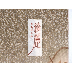 Kimono thăm viếng - Hàng hiệu Authentic 876842