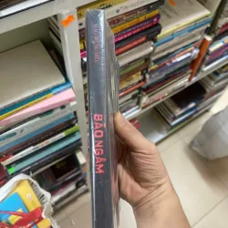 Bão Ngầm, Đào Trung Hiếu, Mới 80% (ố nhẹ) (DMChien) 733156