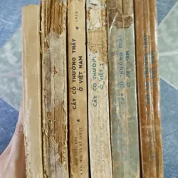 Cây cỏ thường thấy ở Việt Nam ( 6 tập) 791648