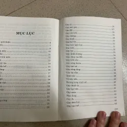 Chữa bệnh bằng cây lá quanh nhà 1022330