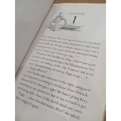 Rhianna and the wild magic - Dave Luckett 553096