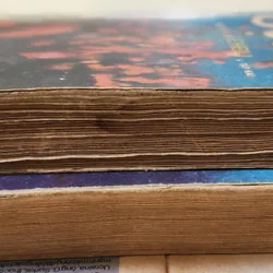 Trọn bộ 2 tập văn học kinh điển Cội Rễ của Alex Haley 702997