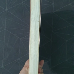 "Hóa ra anh vẫn ở đây" - Tân Di Ổ 492793
