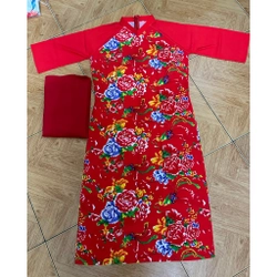 Áo Dài Cách Tân + Quần  455185