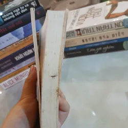 HỌP MẶT - ANNE ENRIGHT  1032985