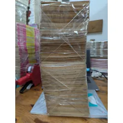 TRUYỆN TRANH ANH EM SINH ĐÔI - HOÀNG TỬ HIẾU THẢO 295866