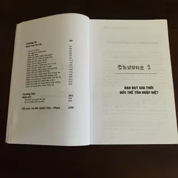 Bồ tát tại gia, bồ tát xuất gia - Thích Nhất Hạnh  675232