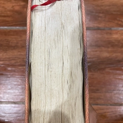 Hiệp Sĩ SAINTE HERMINE - Alexandre Dumas (7) 525473