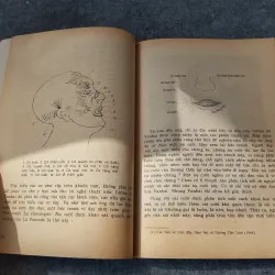 HÀNH TRÌNH VÀO XỨ SỞ CƯỜI 719925