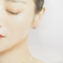 Bông tai Tiffany Lin - Hàng hiệu Chính hãng 842327