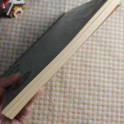 A HOUSE DIVIDED – The Lives of Ulysses S. Grant and Robert E. Lee - Jules Arche 749419