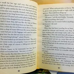 [Sách tiếng Anh 2hand] Like new 90% - 🌊 Island of the Aunts – Eva Ibbotson 961088