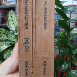 VỠ BỜ - NGUYỄN ĐÌNH THI 1005222