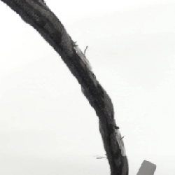 Fendi 8BR000 019 Túi - Hàng hiệu Chính hãng 803532