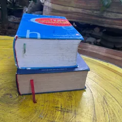 COMBO TỪ ĐIỂN ANH - VIỆT & TỪ ĐIỂN VIỆT - ANH - BÙI PHỤNG 730402